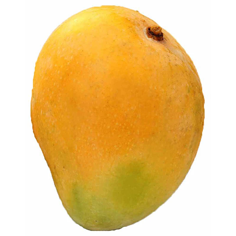 Chaunsa Mango Pakistan, 1Ea