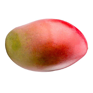 8ad1ebd2-9b12-4d0e-9a06-