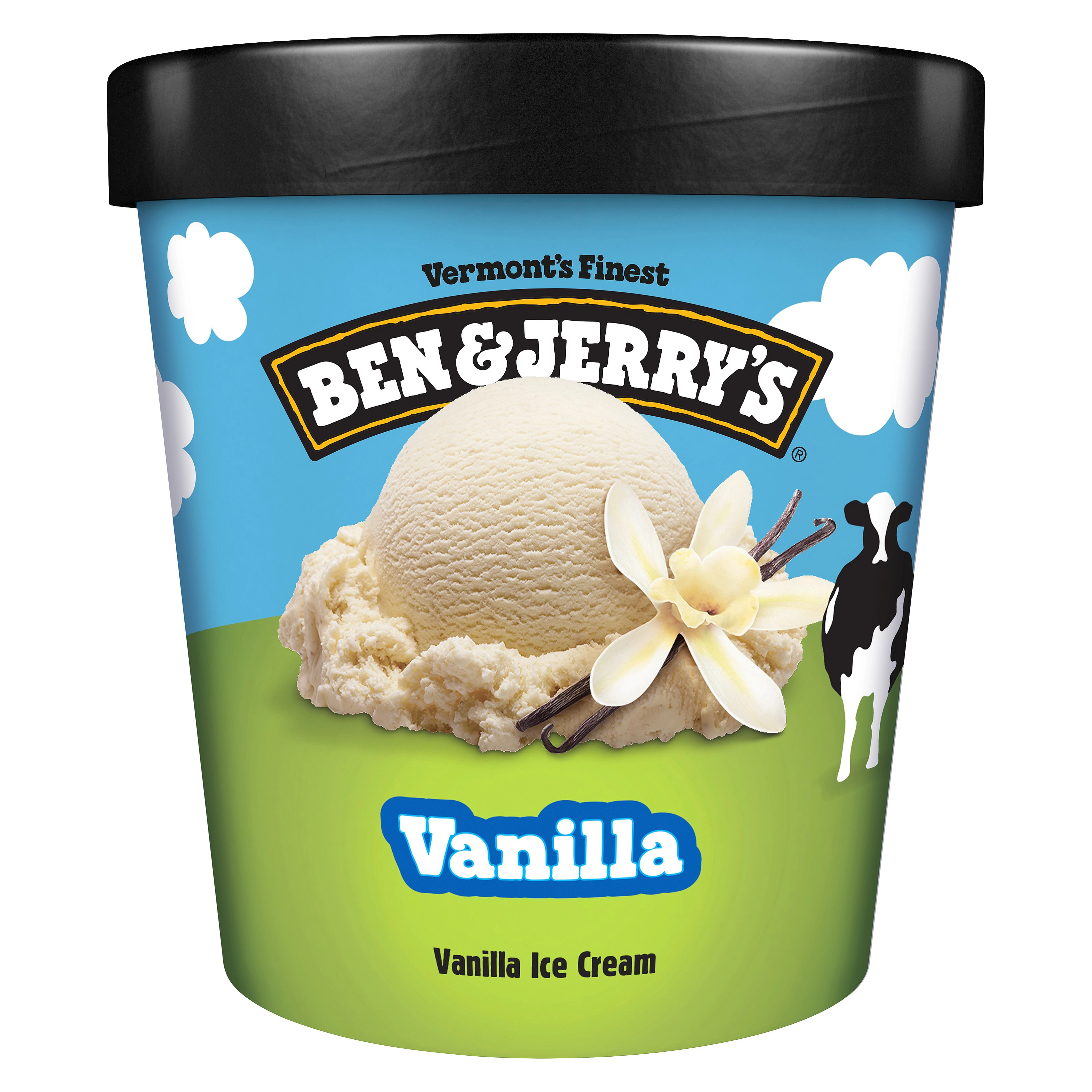 Ben & Jerry's Vanilla Ice Cream, 458ml