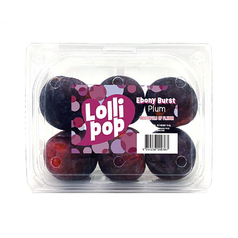 LOLLIPOP EBONY B. PLUM 454G