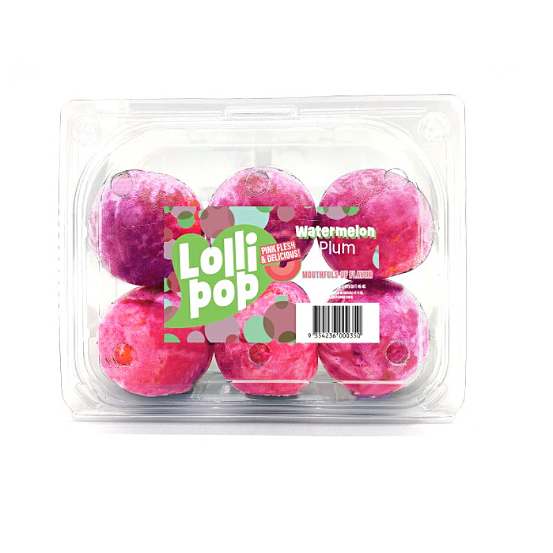 Lollipop Watermelon Plum Usa 10 x 454g